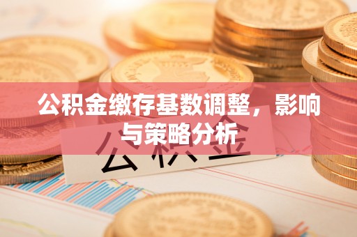 措美公积金缴存基数调整，影响与策略分析